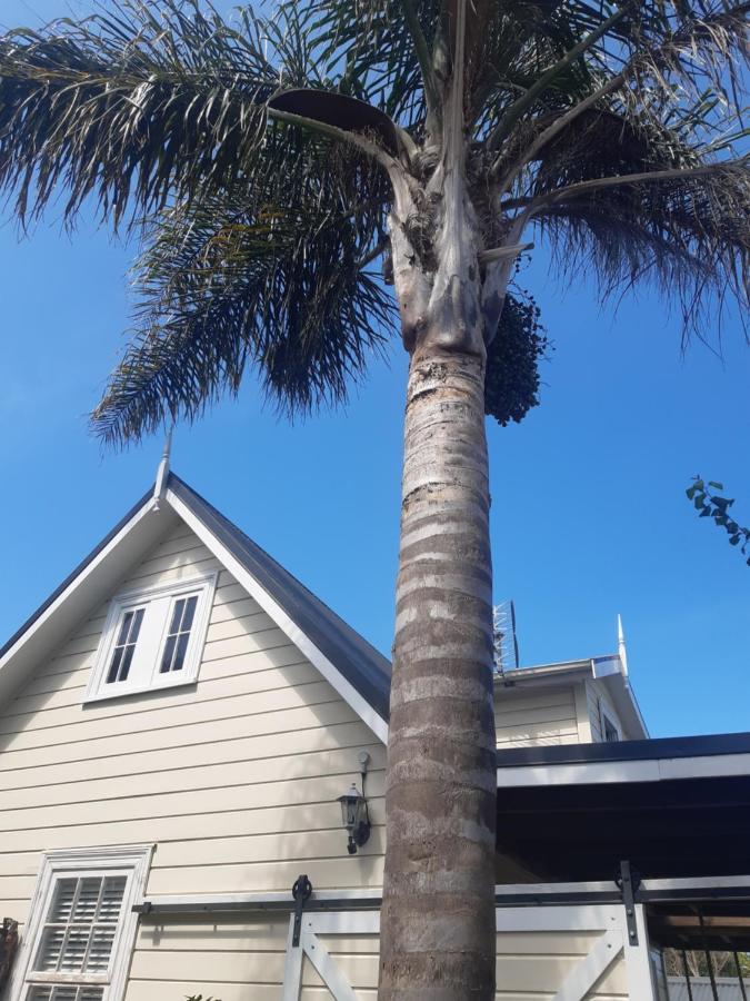 Harbour View Cottage Auckland Dış mekan fotoğraf